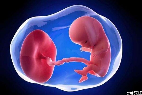 肚里的寶寶的多久可以聽見聲音呢 肚里的寶寶會苦笑嗎 肚里的寶寶的多久可以聽見聲音呢 肚里的寶寶會苦笑嗎