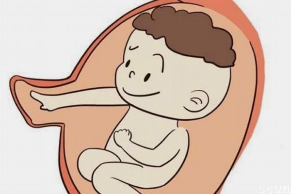 肚里的寶寶為什么一直動(dòng)呢 肚里的寶寶什么時(shí)候睡覺(jué)呢 肚里的寶寶為什么一直動(dòng)呢 肚里的寶寶什么時(shí)候睡覺(jué)呢