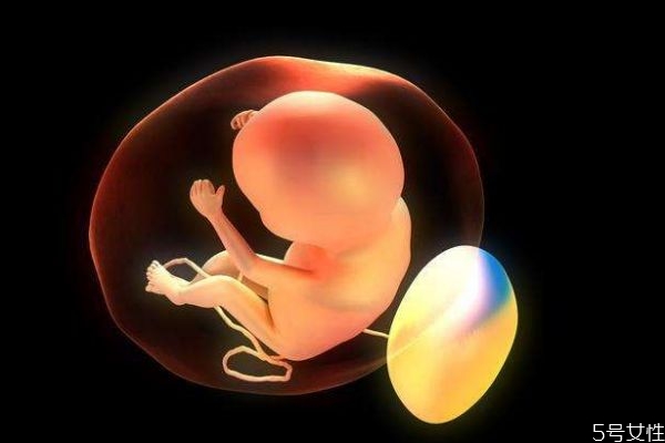 肚里的寶寶為什么一直動(dòng)呢 肚里的寶寶什么時(shí)候睡覺(jué)呢 肚里的寶寶為什么一直動(dòng)呢 肚里的寶寶什么時(shí)候睡覺(jué)呢