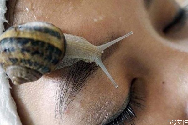 蝸牛美容有效果嗎 什么是蝸牛美容呢 蝸牛美容有效果嗎 什么是蝸牛美容呢