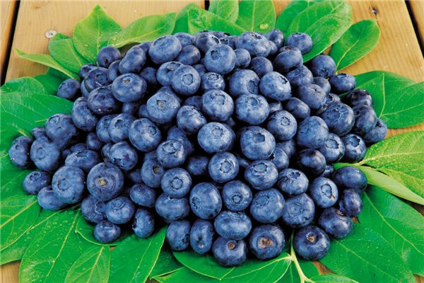 藍(lán)莓外面的白霜是什么 藍(lán)莓吃皮要注意什么 藍(lán)莓外面的白霜是什么 藍(lán)莓吃皮要注意什么