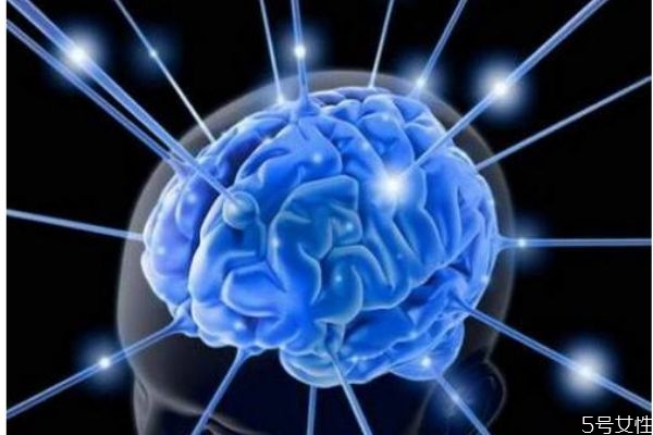 增強記憶的方法有什么呢 增強記憶可以多吃什么呢 增強記憶的方法有什么呢 增強記憶可以多吃什么呢