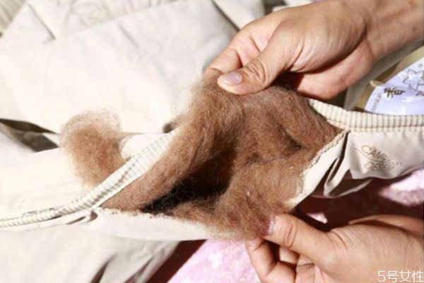 駝絨是什么面料 棉花棉褲和駝絨棉褲哪個比較保暖 駝絨是什么面料 棉花棉褲和駝絨棉褲哪個比較保暖