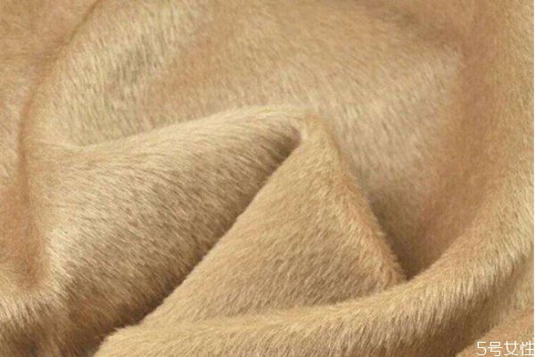 駝絨是什么面料 棉花棉褲和駝絨棉褲哪個比較保暖 駝絨是什么面料 棉花棉褲和駝絨棉褲哪個比較保暖