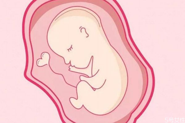 試管嬰兒有性還是無性 試管嬰兒有宮外孕嗎 試管嬰兒有性還是無性 試管嬰兒有宮外孕嗎