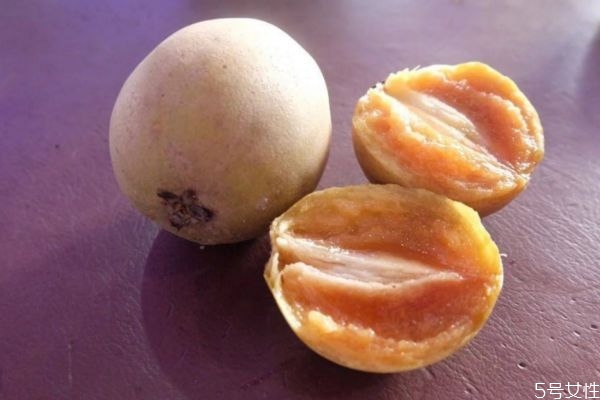 人心果一般成熟在幾月份 人心果怎么選購呢 人心果一般成熟在幾月份 人心果怎么選購呢