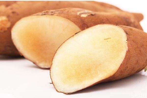 雪蓮果是涼性還是熱性 雪蓮果可以經(jīng)常吃嗎 雪蓮果是涼性還是熱性 雪蓮果可以經(jīng)常吃嗎