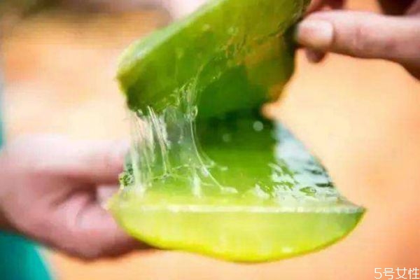 蘆薈灌膚的功效和作用 蘆薈灌膚的副作用 蘆薈灌膚的功效和作用 蘆薈灌膚的副作用