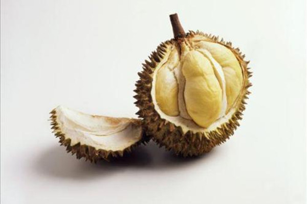 沒熟的榴蓮怎么催熟 怎么判斷榴蓮是否熟了 沒熟的榴蓮怎么催熟 怎么判斷榴蓮是否熟了