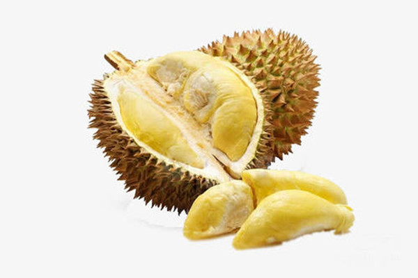 沒熟的榴蓮怎么催熟 怎么判斷榴蓮是否熟了 沒熟的榴蓮怎么催熟 怎么判斷榴蓮是否熟了