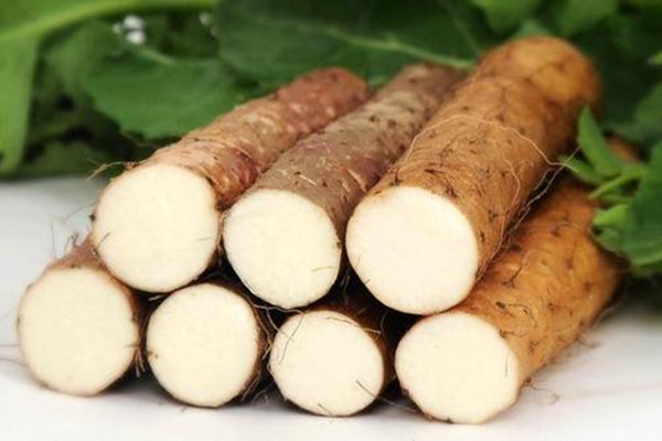 怎么辨別山藥壞沒壞 山藥怎么保存不會(huì)壞 怎么辨別山藥壞沒壞 山藥怎么保存不會(huì)壞