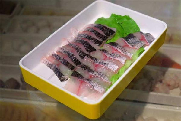 黑魚和石斑魚是一種魚嗎 黑魚和石斑魚的區(qū)別 黑魚和石斑魚是一種魚嗎 黑魚和石斑魚的區(qū)別