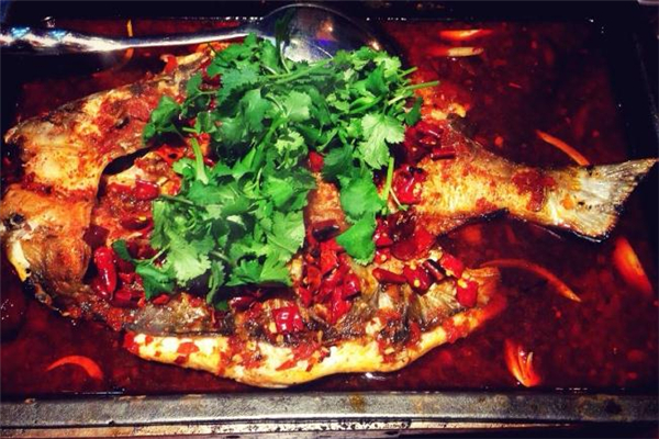 清江魚和鯰魚的區(qū)別 清江魚和鯰魚哪個好吃 清江魚和鯰魚的區(qū)別 清江魚和鯰魚哪個好吃