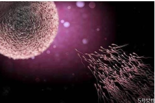 補佳樂排卵期可以吃嗎 排卵期吃補佳樂無礙 補佳樂排卵期可以吃嗎 排卵期吃補佳樂無礙