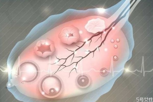 補佳樂排卵期可以吃嗎 排卵期吃補佳樂無礙