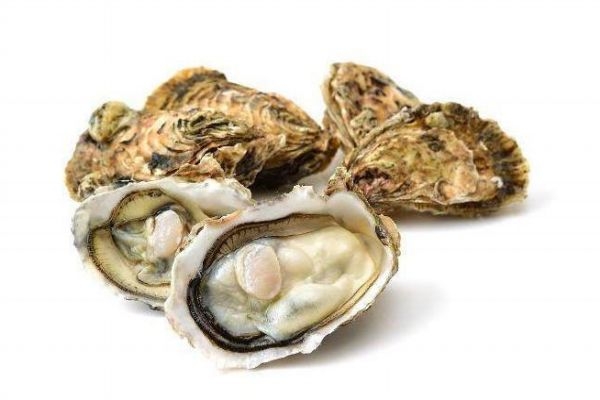 生的生蠔可以吃嗎 生的生蠔要怎么吃 生的生蠔可以吃嗎 生的生蠔要怎么吃