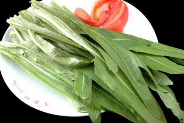 油麥菜吃多了會(huì)怎樣 油麥菜一天適合吃多少 油麥菜吃多了會(huì)怎樣 油麥菜一天適合吃多少