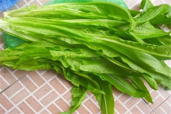 油麥菜吃多了會(huì)怎樣 油麥菜一天適合吃多少 油麥菜吃多了會(huì)怎樣 油麥菜一天適合吃多少