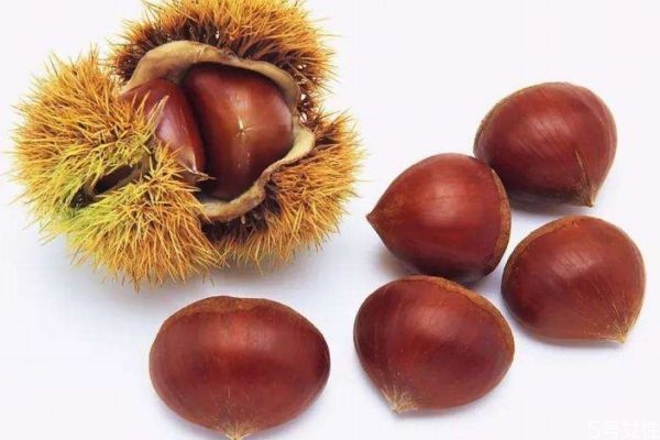 為什么栗子吃多了放屁 吃栗子造成放屁的原因是什么 為什么栗子吃多了放屁 吃栗子造成放屁的原因是什么