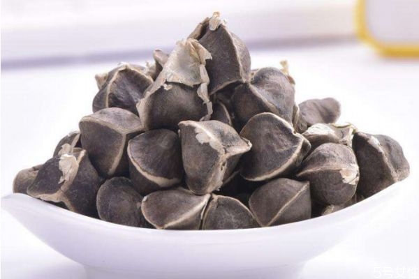 什么是辣木籽 辣木籽有什么好處 什么是辣木籽 辣木籽有什么好處