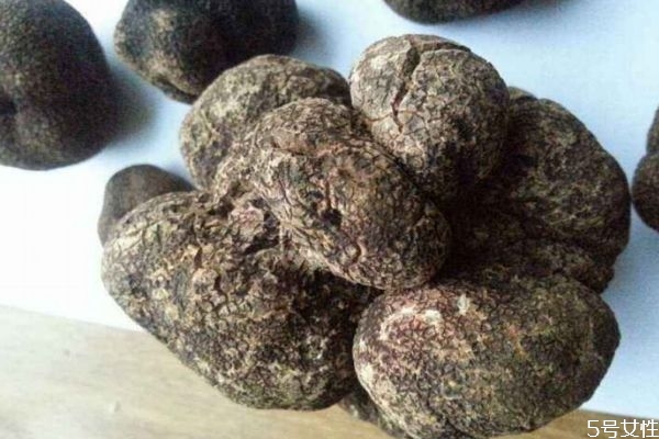 黑松露的營養(yǎng)價值 吃黑松露的好處 黑松露的營養(yǎng)價值 吃黑松露的好處