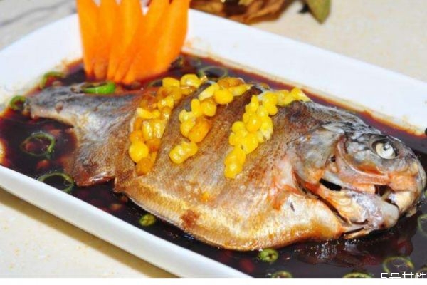 鯧魚的營養(yǎng)價值及功效 鯧魚怎么做好吃 鯧魚的營養(yǎng)價值及功效 鯧魚怎么做好吃