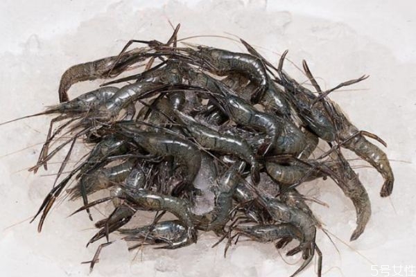 活的河蝦怎么處理干凈 活的河蝦怎么保鮮 活的河蝦怎么處理干凈 活的河蝦怎么保鮮