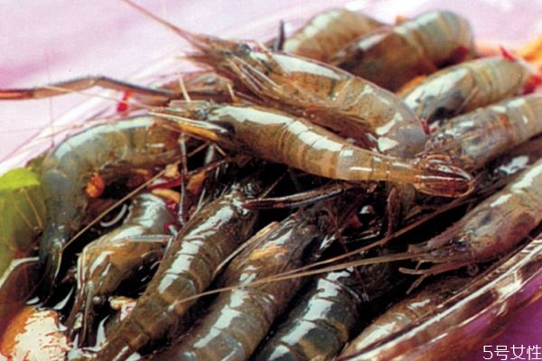 活的河蝦怎么處理干凈 活的河蝦怎么保鮮 活的河蝦怎么處理干凈 活的河蝦怎么保鮮