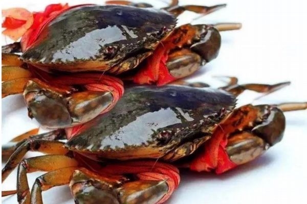 青蟹是什么 吃青蟹的好處 青蟹是什么 吃青蟹的好處