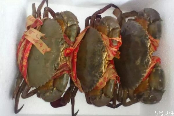 青蟹是什么 吃青蟹的好處 青蟹是什么 吃青蟹的好處
