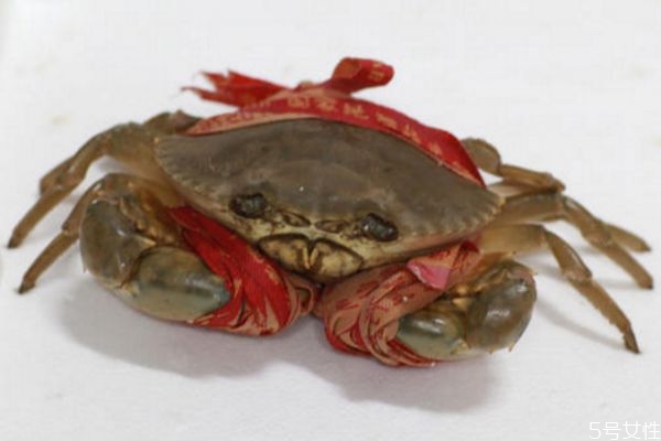 青蟹是什么 吃青蟹的好處 青蟹是什么 吃青蟹的好處