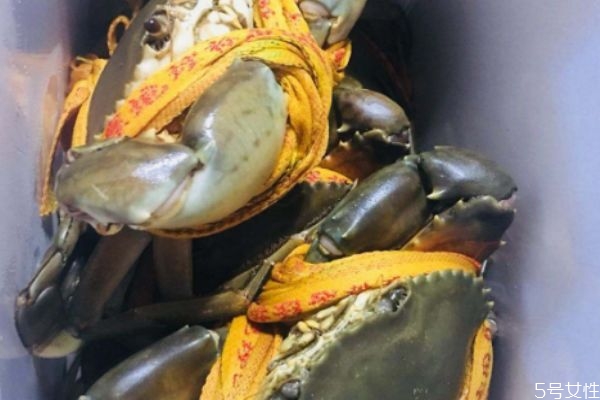 青蟹是什么 吃青蟹的好處 青蟹是什么 吃青蟹的好處