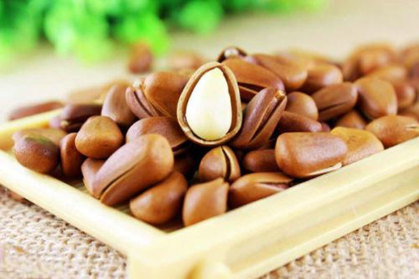 松子粥有什么好處 松子含的脂肪高嗎 松子粥有什么好處 松子含的脂肪高嗎