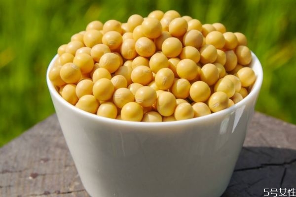 大豆有什么營(yíng)養(yǎng)價(jià)值呢 吃大豆有什么好處呢 大豆有什么營(yíng)養(yǎng)價(jià)值呢 吃大豆有什么好處呢