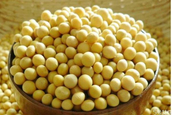 大豆有什么營(yíng)養(yǎng)價(jià)值呢 吃大豆有什么好處呢 大豆有什么營(yíng)養(yǎng)價(jià)值呢 吃大豆有什么好處呢