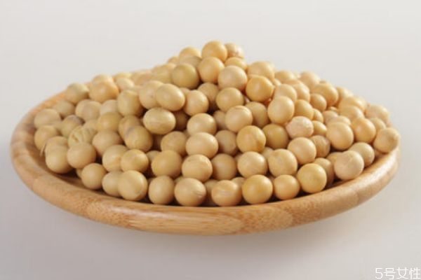 黃豆有什么營(yíng)養(yǎng)價(jià)值 吃黃豆注意什么 黃豆有什么營(yíng)養(yǎng)價(jià)值 吃黃豆注意什么