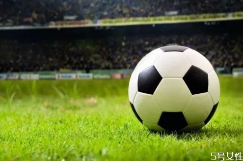 足球初學(xué)者應(yīng)該注意什么 足球比賽場(chǎng)上一共會(huì)有幾個(gè)人 足球初學(xué)者應(yīng)該注意什么 足球比賽場(chǎng)上一共會(huì)有幾個(gè)人