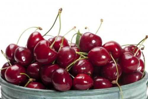 車?yán)遄訅牧耸鞘裁次兜?車?yán)遄幼冑|(zhì)了是怎樣的 車?yán)遄訅牧耸鞘裁次兜?車?yán)遄幼冑|(zhì)了是怎樣的