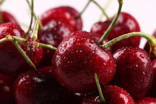 車?yán)遄訅牧耸鞘裁次兜?車?yán)遄幼冑|(zhì)了是怎樣的 車?yán)遄訅牧耸鞘裁次兜?車?yán)遄幼冑|(zhì)了是怎樣的