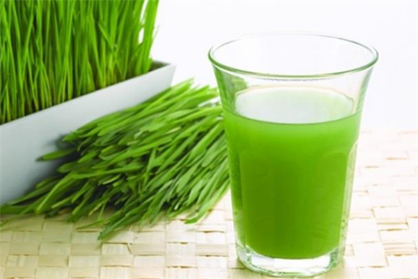 小麥草是什么 小麥草汁的功效與作用 小麥草是什么 小麥草汁的功效與作用