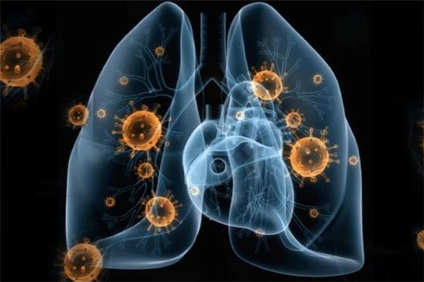 坐電梯會(huì)傳染病毒嗎 寵物會(huì)感染病毒嗎 坐電梯會(huì)傳染病毒嗎 寵物會(huì)感染病毒嗎