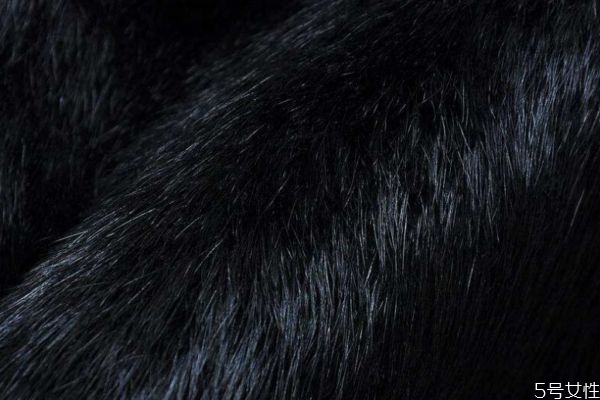 兔毛內(nèi)膽掉毛怎么處理 防止兔毛掉毛的方法