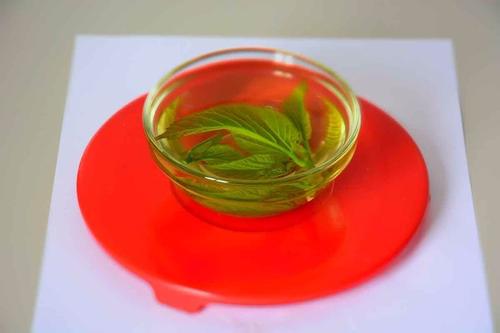 長期喝苦丁茶好嗎 苦丁茶喝多了會怎樣 長期喝苦丁茶好嗎 苦丁茶喝多了會怎樣