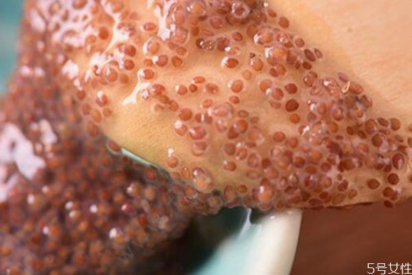 海藻面膜停留多久 海藻面膜多久使用一次 海藻面膜停留多久 海藻面膜多久使用一次