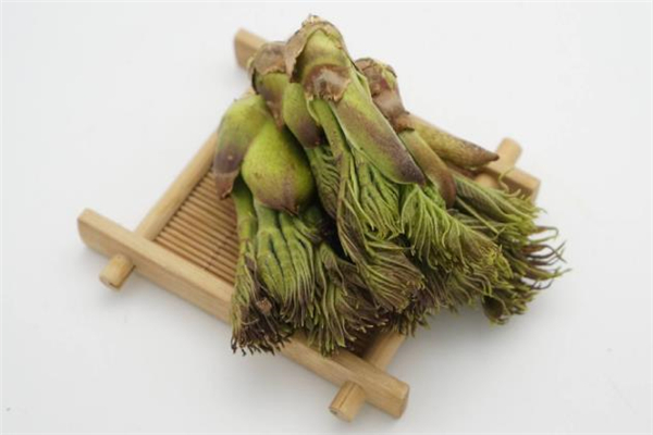 刺老芽是什么 刺老芽怎么吃 刺老芽是什么 刺老芽怎么吃