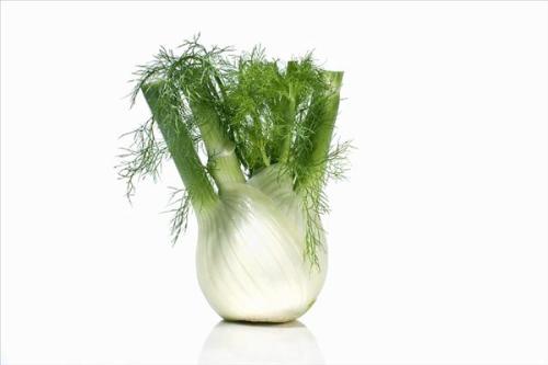 茴香一次適合吃多少 茴香和雞蛋怎么做好吃 茴香一次適合吃多少 茴香和雞蛋怎么做好吃