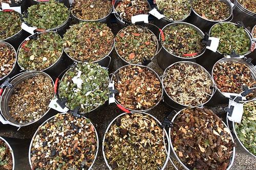 中藥曬干后影響藥效嗎 中藥藥渣用來泡腳好嗎 中藥曬干后影響藥效嗎 中藥藥渣用來泡腳好嗎