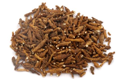 中藥渣過夜了還能用嗎 中藥渣怎么保存 中藥渣過夜了還能用嗎 中藥渣怎么保存