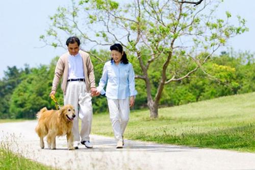 早晨在樹林散步好嗎 早晨幾點散步最好 早晨在樹林散步好嗎 早晨幾點散步最好