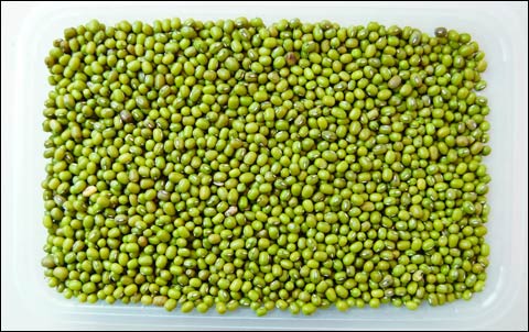 吃綠豆都便秘有幫助嗎 綠豆湯解藥性嗎 吃綠豆都便秘有幫助嗎 綠豆湯解藥性嗎